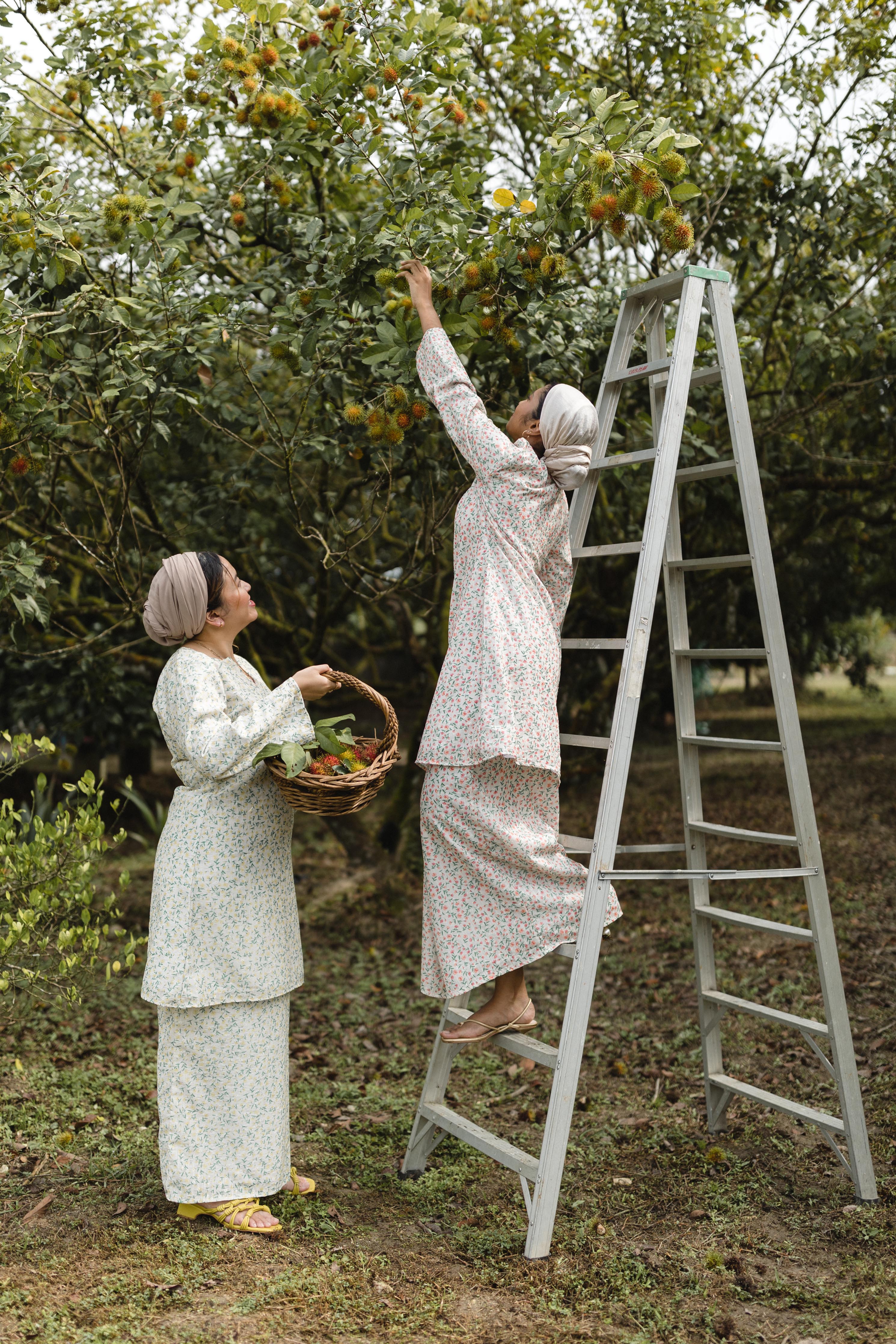 Embroidered Kurung Klasik in Seperti Senja Orange - Image 7